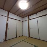 19 (内装)