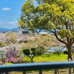 【賃貸・アパート】秀和コーポ２０１号室／和歌浦西 画像22