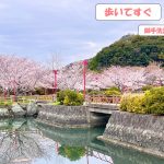 【賃貸・マンション】秀和コーポ206/和歌浦西2丁目 画像16
